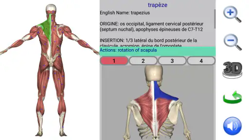 Visual Anatomy 2 screenshot 6