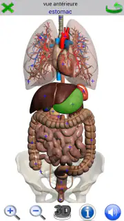 Visual Anatomy 2 screenshot 7