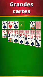 Vita Solitaire pour seniors screenshot 7