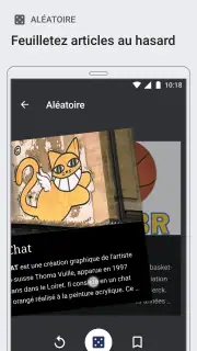 Wikipédia screenshot 3