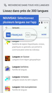 Wikipédia screenshot 4