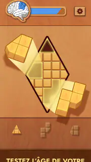 Woodoku screenshot 3