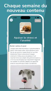 WoofLearn : Éducation du Chien screenshot 7