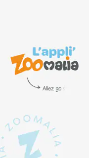 Zoomalia screenshot 1