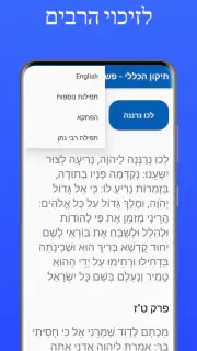 תיקון הכללי - פשוט ונוח screenshot 4