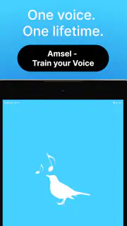 Amsel – Train your Voice screenshot 7
