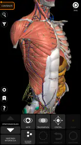Anatomia - Atlante 3D screenshot 1