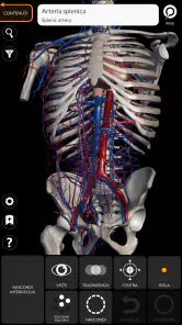 Anatomia - Atlante 3D screenshot 2