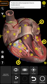 Anatomia - Atlante 3D screenshot 3