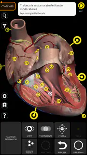 Anatomia - Atlante 3D screenshot 3