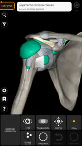Anatomia - Atlante 3D screenshot 4