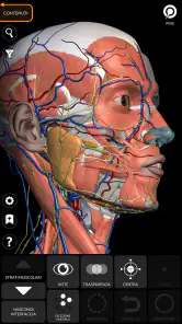 Anatomia - Atlante 3D screenshot 6