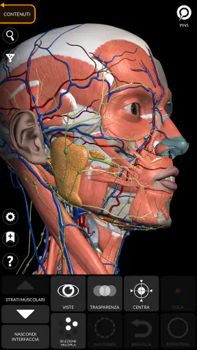 Anatomia - Atlante 3D screenshot