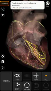 Anatomia - Atlante 3D screenshot 7