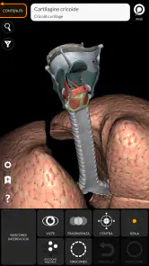 Anatomia - Atlante 3D screenshot 8