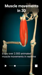 Anatomy Learning - Anatomía 3D screenshot 2