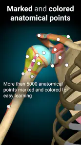 Anatomy Learning - Anatomía 3D screenshot 3