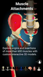Anatomy Learning - Anatomía 3D screenshot 4