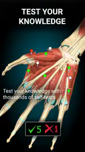 Anatomy Learning - Anatomía 3D screenshot 5
