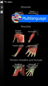 Anatomy Learning - Anatomía 3D screenshot 6