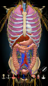 Anatomy Learning - Anatomía 3D screenshot 7
