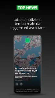 ANSA screenshot 3