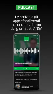 ANSA screenshot 5