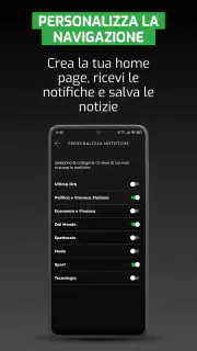ANSA screenshot 7