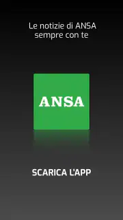 ANSA screenshot 8