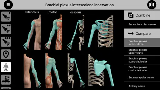 AnSo Anaesthesia Sonoanatomy screenshot 2