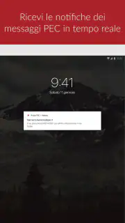 Aruba PEC screenshot 5