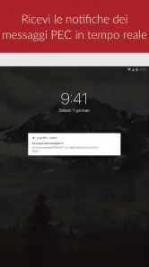 Aruba PEC screenshot 8