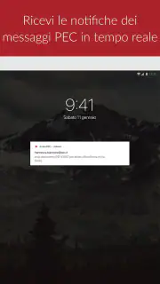 Aruba PEC screenshot 8