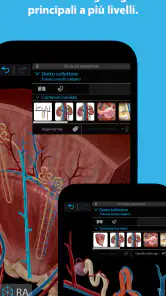 Atlante di anatomia umana 2026 screenshot 2