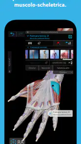 Atlante di anatomia umana 2026 screenshot 3