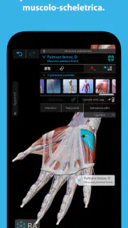 Atlante di anatomia umana 2026 screenshot 3