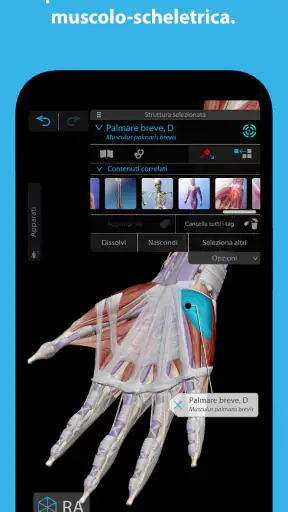 Atlante di anatomia umana 2026 screenshot