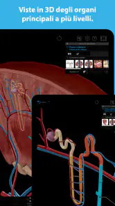 Atlante di anatomia umana 2026 screenshot 7