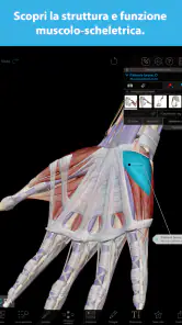 Atlante di anatomia umana 2026 screenshot 8