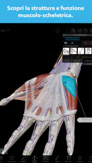 Atlante di anatomia umana 2026 screenshot 8
