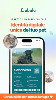 Babalù | Pet Owner->Pet Lover screenshot 2