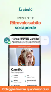 Babalù | Pet Owner->Pet Lover screenshot 6
