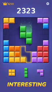 Block Puzzle Challenge screenshot 4