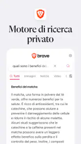 Brave Browser Web VPN Privato screenshot 7