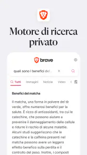 Brave Browser Web VPN Privato screenshot 7
