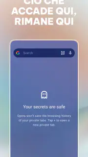 Browser Opera con VPN screenshot 7
