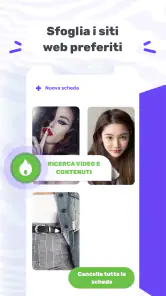 Browser proxy screenshot 4