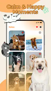 Cat Translator, Dog Translator screenshot 6