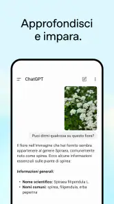 ChatGPT screenshot 4