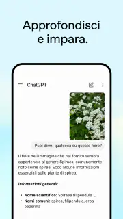 ChatGPT screenshot 4